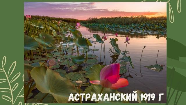 «11 января – день заповедников и национальных парков России»