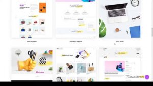 Rexal - A Colorful and Modern Multipurpose Portfolio WordPress Theme portfolio seo Tamana