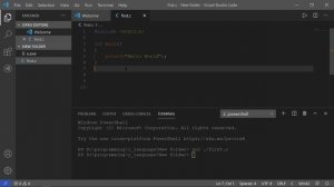 gcc.exe fatal error no input files compilation terminated