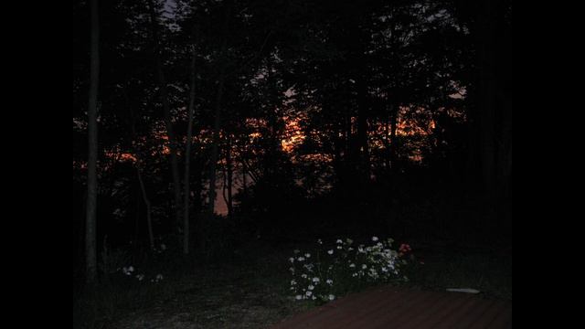 Lad, A Dog parts 1 & 2 By Jon Deak смотреть онлайн