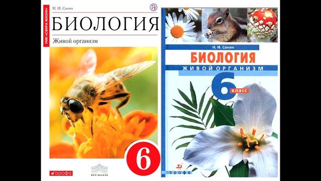 § 10 Питание и пищеварение