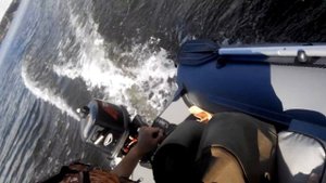 Flinc 320LA (аирдек) + Tohatsu 5