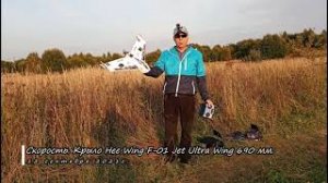 Скорость. Крыло Hee Wing F-01 690мм.