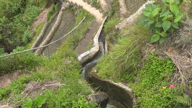 Rice Terraces of the Philippine Cordilleras_ Batad, Bangaan and Banaue in 4K Ultra HD смотреть онлайн