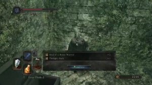 All 5 Sublime Bone Dust Locations - Dark Souls 2 Scholar Of The First Sin.