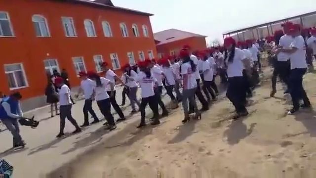 флешмоб колледж Абу Али Ибн Сина (Авиценна) Сарыагаш смотреть онлайн