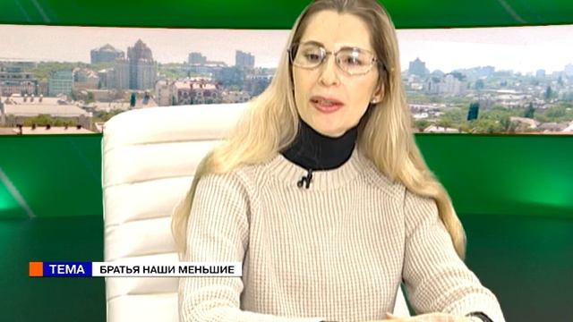 Время (26.02.18) Екатерина Бродская, Юлия Игнатенко. Братья наши меньшие