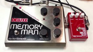 Electro Harmonix Deluxe Memory Man vs Malekko Ekko 616 Analog Echo