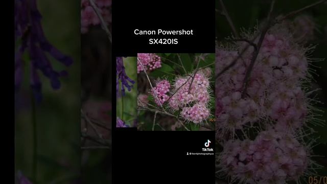 Canon Powershot SX420IS Photography