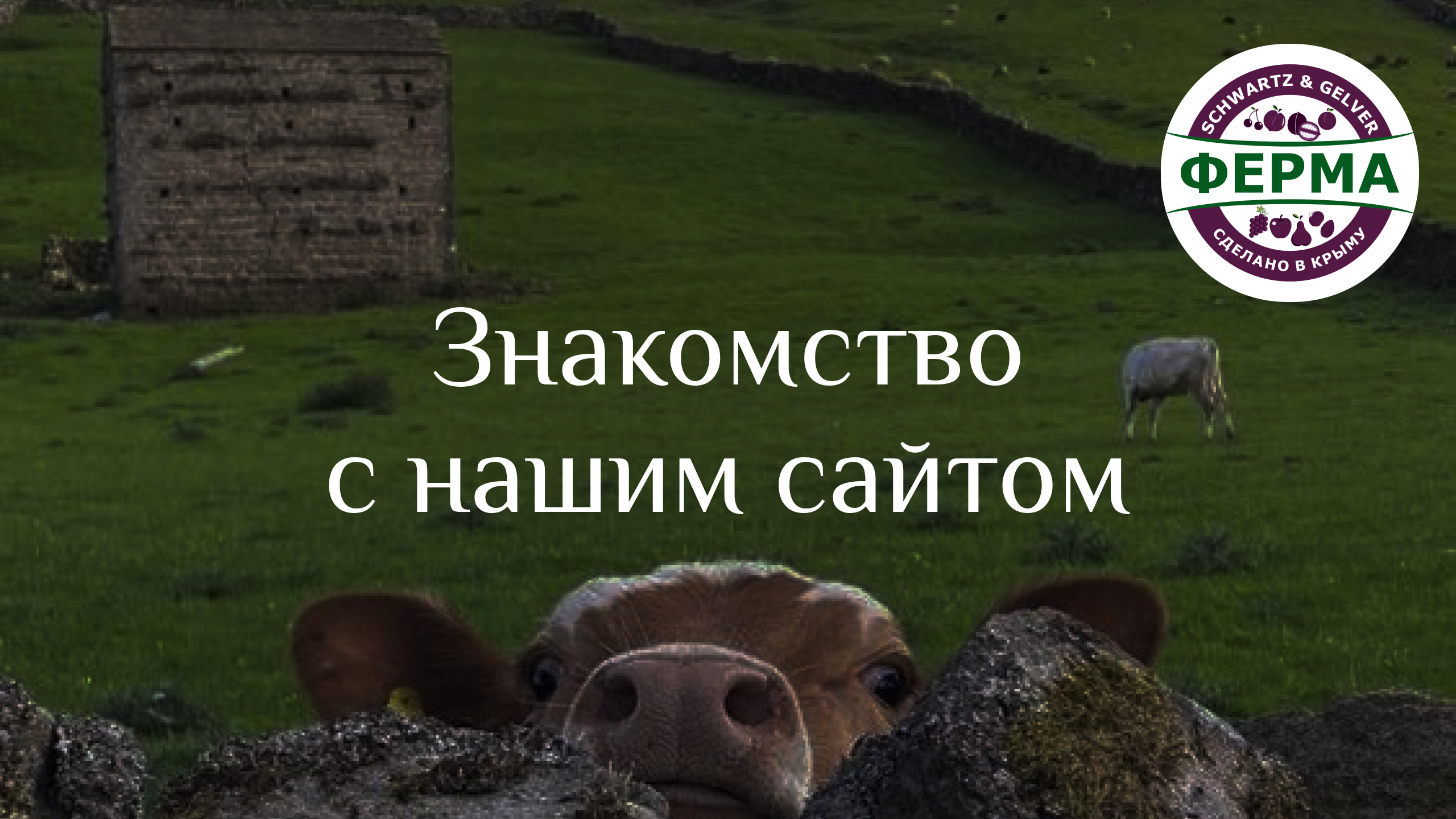 Строим АГРОПАРК в КРЫМУ / Знакомство с НАШИМ САЙТОМ www.sg-farm.ru