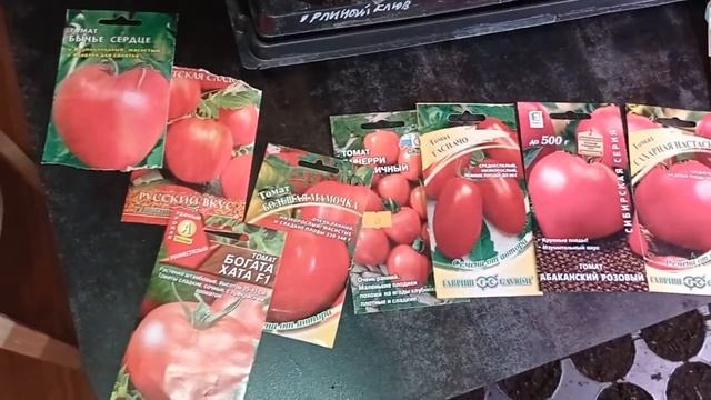 Сажаю томаты: Большая мамочка, Сахарная Настасья, Черри клубничный, Гаспачо, Абаканский розовый и д