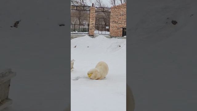 Забава открыла купальный сезон!