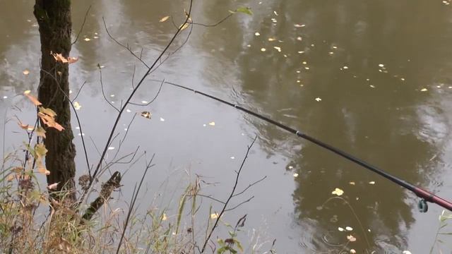 Бегучая оснастка летней мормышки на малой реке.