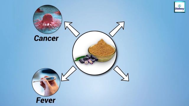 Does Jamun Seeds powder helps in Diabetes | क्या जामुन की गुठली शुगर में लाभदायक है | Diabexy Q&A 1 смотреть онлайн