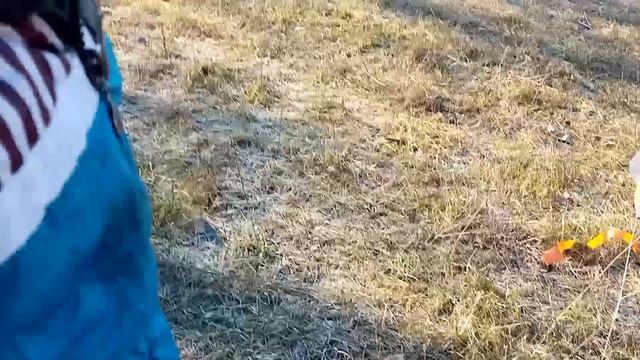 Запускаем змея, минус змей часть 1 смотреть онлайн