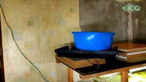 Новые аквариумные рыбы на разводне у Костика!