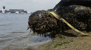 Скульптуру русалки подняли с морского дна в районе набережной Спортивной гавани.