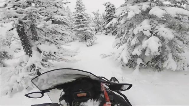 2021 Ski-Doo Expedition SWT off trail riding смотреть онлайн
