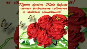 Шпильки - Мы Амазонки