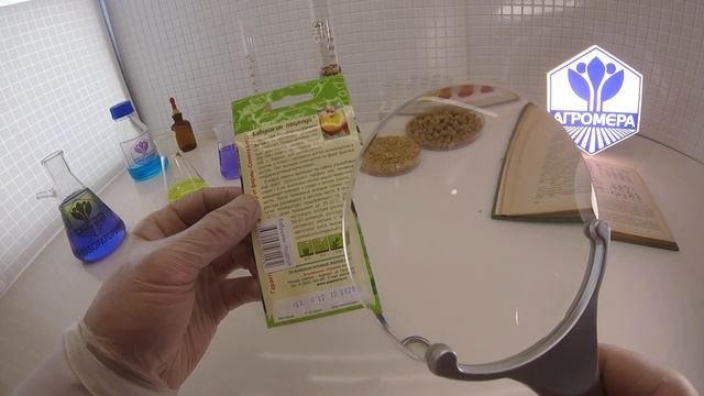 Томат Бабушкин поцелуй. Семена Алтая смотреть онлайн