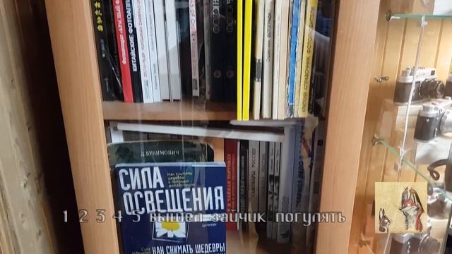Книжный шкаф Кормежка шкафа книгами смотреть онлайн