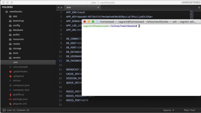 004 database connection and authentication system in laravel