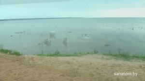 Санаторий Нарочанка - озеро Нарочь, Санатории Беларуси