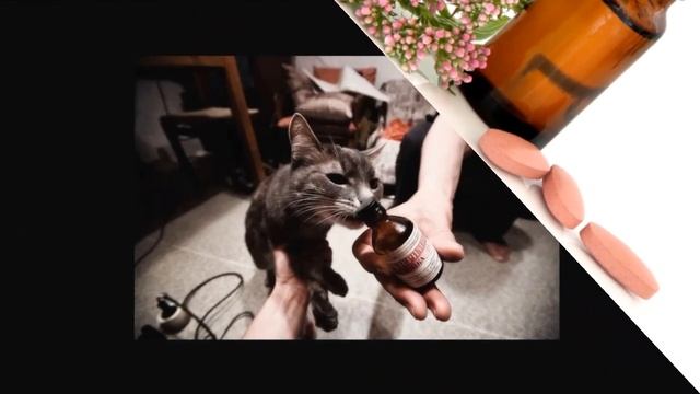 ПРОСТОЕ НАРОДНОЕ СРЕДСТВО ОТ БЕССОННИЦЫ