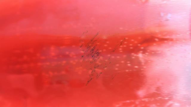 Low Himari - Quintoyant/Nullifier смотреть онлайн