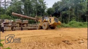 Proses evakuasi kecelakaan truk logging bermuatan kayu menggunakan alat berat wheel loader