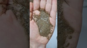 Натуральный дешевый пилинг стоимостью до 30 рублей. Водоросли Бадяга
