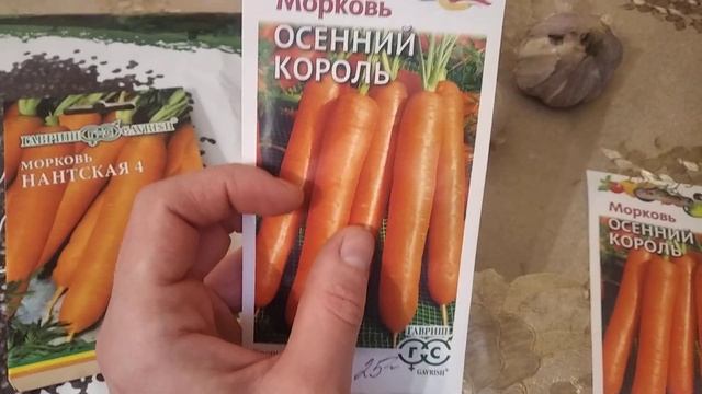 Дачные работы на 18 октября/ закупка семян/ что буду сеять под зиму смотреть онлайн