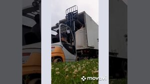 щеповоз выгрузка биг бегов