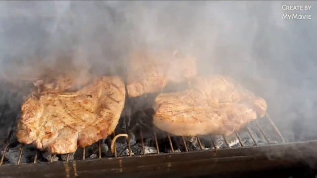 Жарим шашлык и новую рыбу Пеленгаса#Аня делает домашнее задание"блины"#Сварили слэбы# смотреть онлайн