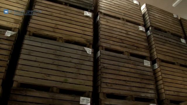 Новое современное овощехранилище от холдинга «Дмитровские овощи» смотреть онлайн