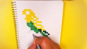МОИ РИСУНКИ ПО КЛЕТОЧКАМ - ВОЛНИСТЫЙ ПОПУГАЙ - Pixel Art - Простые рисунки птицы