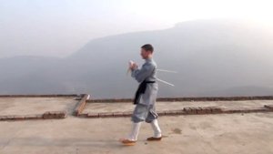 Мастер Шаолинь. Комплекс с посохом Дамо