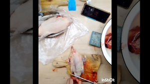 Утиный суп ? с домашней лапшой. Кус миинэ.