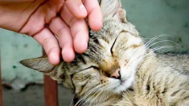 Мир Вокруг Тебя))) смотреть онлайн