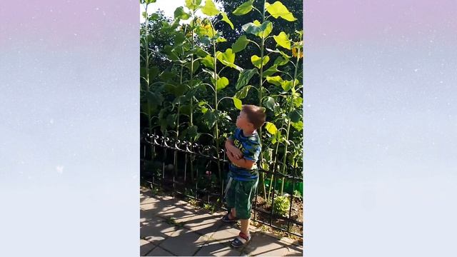 В монастыре