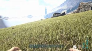 Как инкубировать яйцо Виверны? Ответ тут