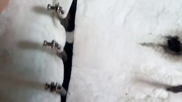 Замена не исправных ТЭНов в камфорке электроплиты кухни смотреть онлайн