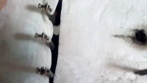 Замена не исправных ТЭНов в камфорке электроплиты кухни