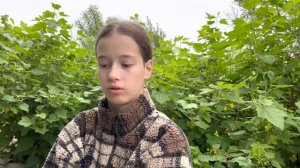 Песня про царя Ивана Васильевича, молодого опричника и удалого купца Калашникова. М.Ю. Лермонтов