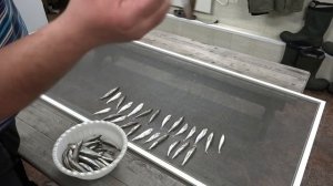 Вяление корюшки от А до Я