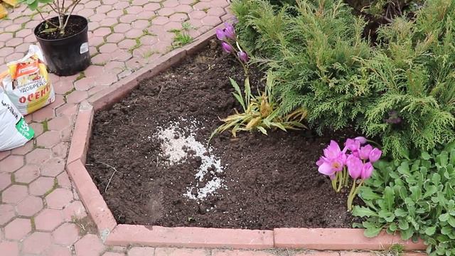 Осенние хлопоты продолжаются!😀🍂