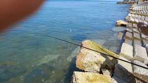 Рыбалка на БЕЛЕР в Николаевке