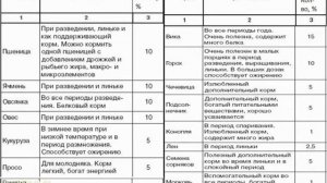 Голуби (3 часть) - Как правильно кормить голубей
