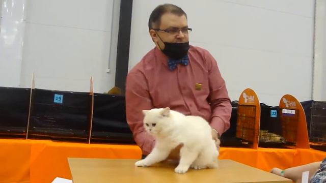 Neva's Precious Ice - Cream (Мультик) смотреть онлайн