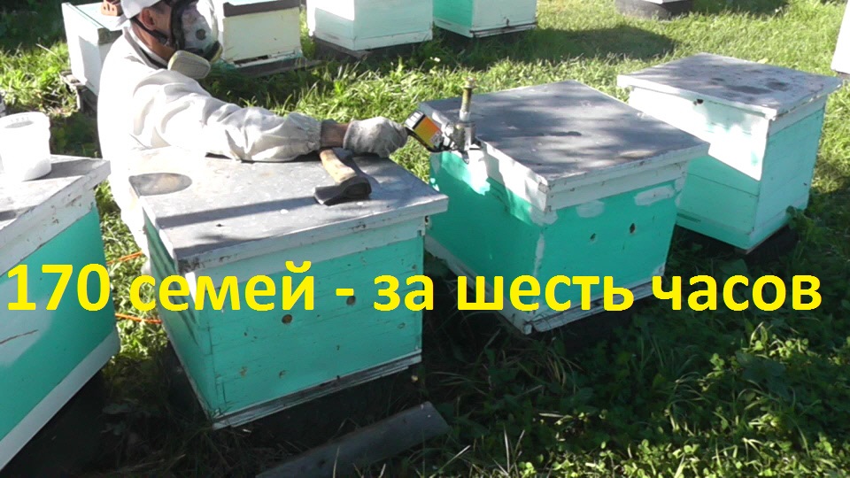 и снова сублиматор в деле смотреть онлайн